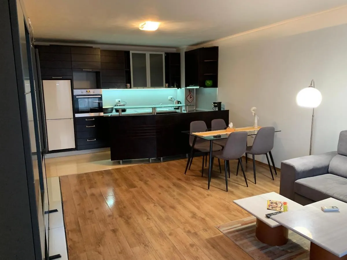 Central And Spacious Apartment Sofia